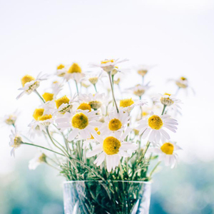 免费看黄漫网站
